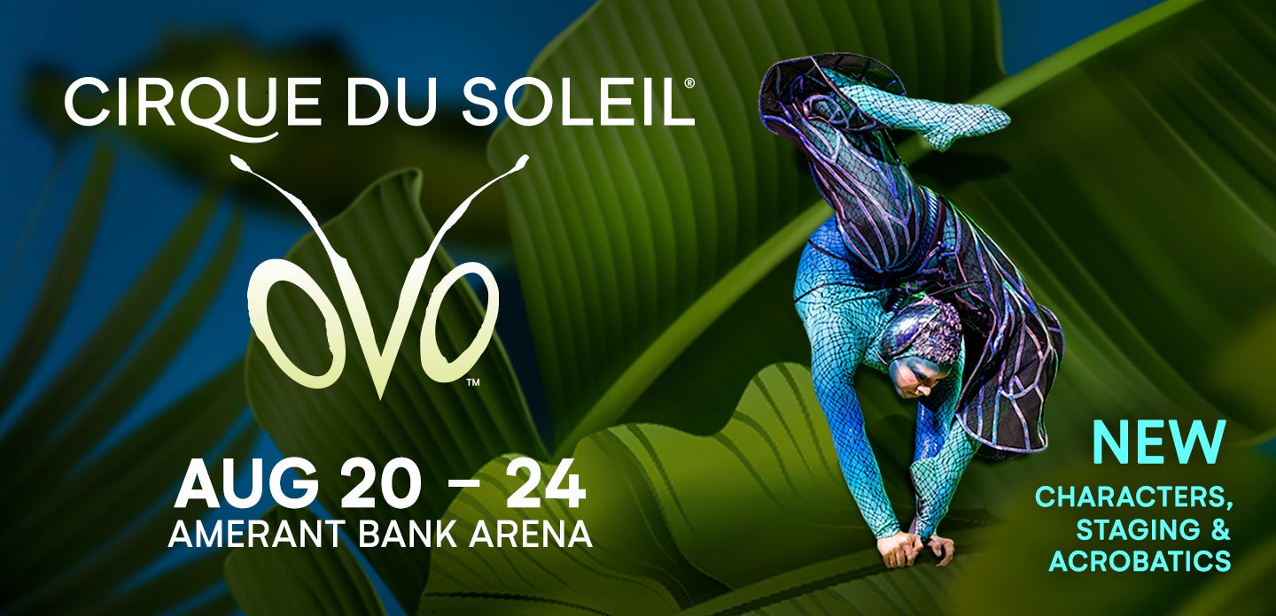 Cirque du Soleil: OVO